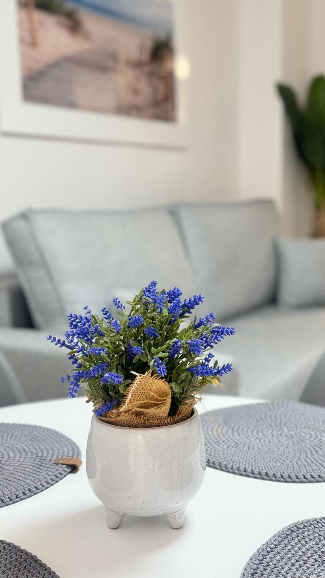 Appartement Iii Apolo 7